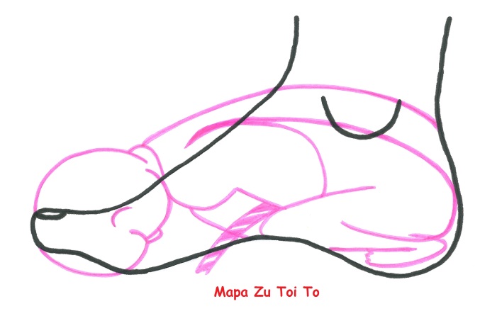 Kurs masażu stóp On Zon Su, Szkolenia refleksologii stóp - Dlaczego stopy należy masować zgodnie z  tradycyjnymi mapami masażu stóp On Zon Su? Mapa_Zu_Toi_To.jpg