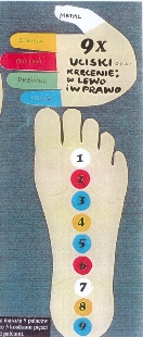 Kurs masażu stóp On Zon Su, Szkolenia refleksologii stóp - Mapa Dziewięciu Pałaców Mistrza Czerwona Sosna 9_PALACOW_40_procent.JPG