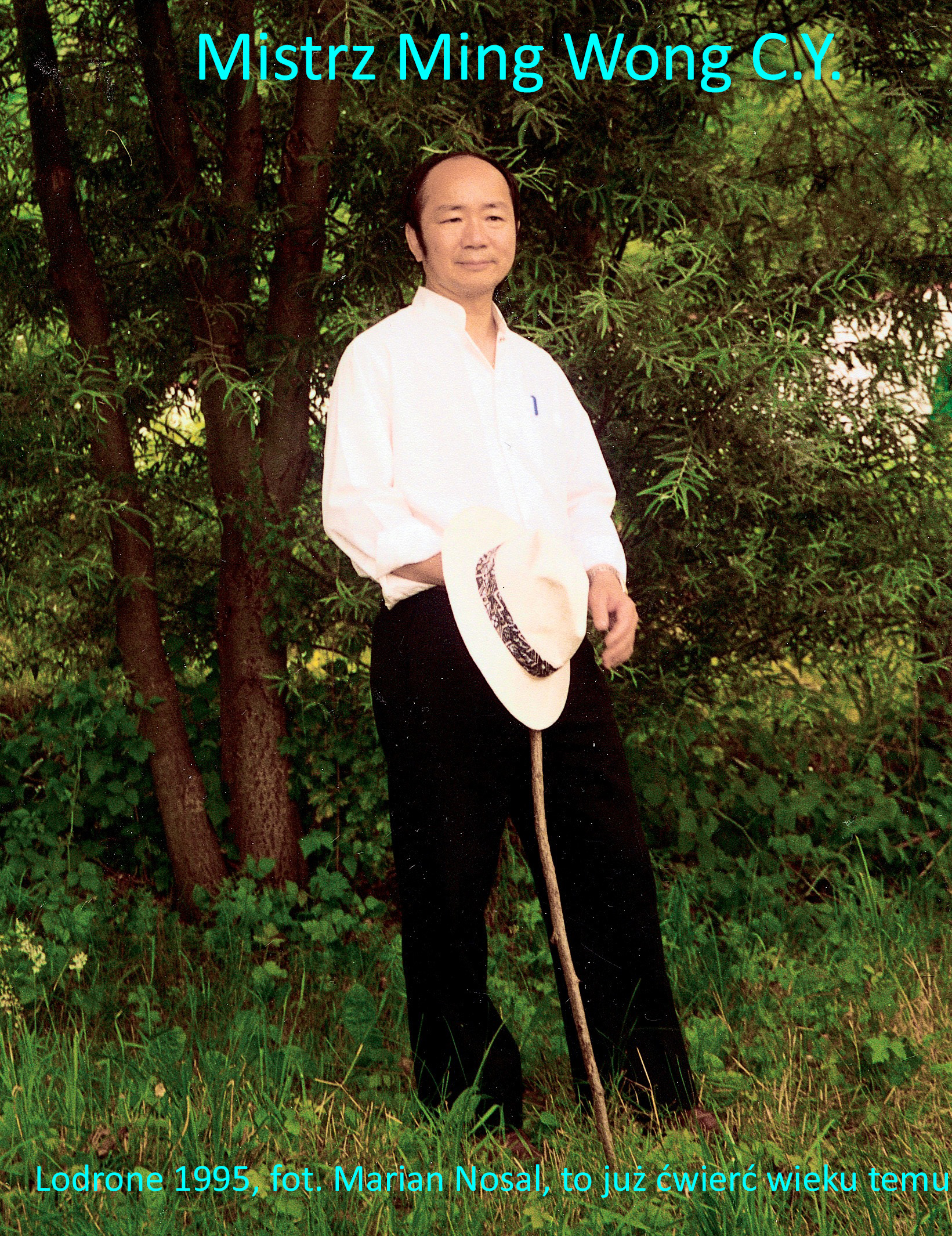 Kurs masażu stóp On Zon Su, Szkolenia refleksologii stóp - mistrz Ming Wong C. Y. MW_las_napisy_1.jpg