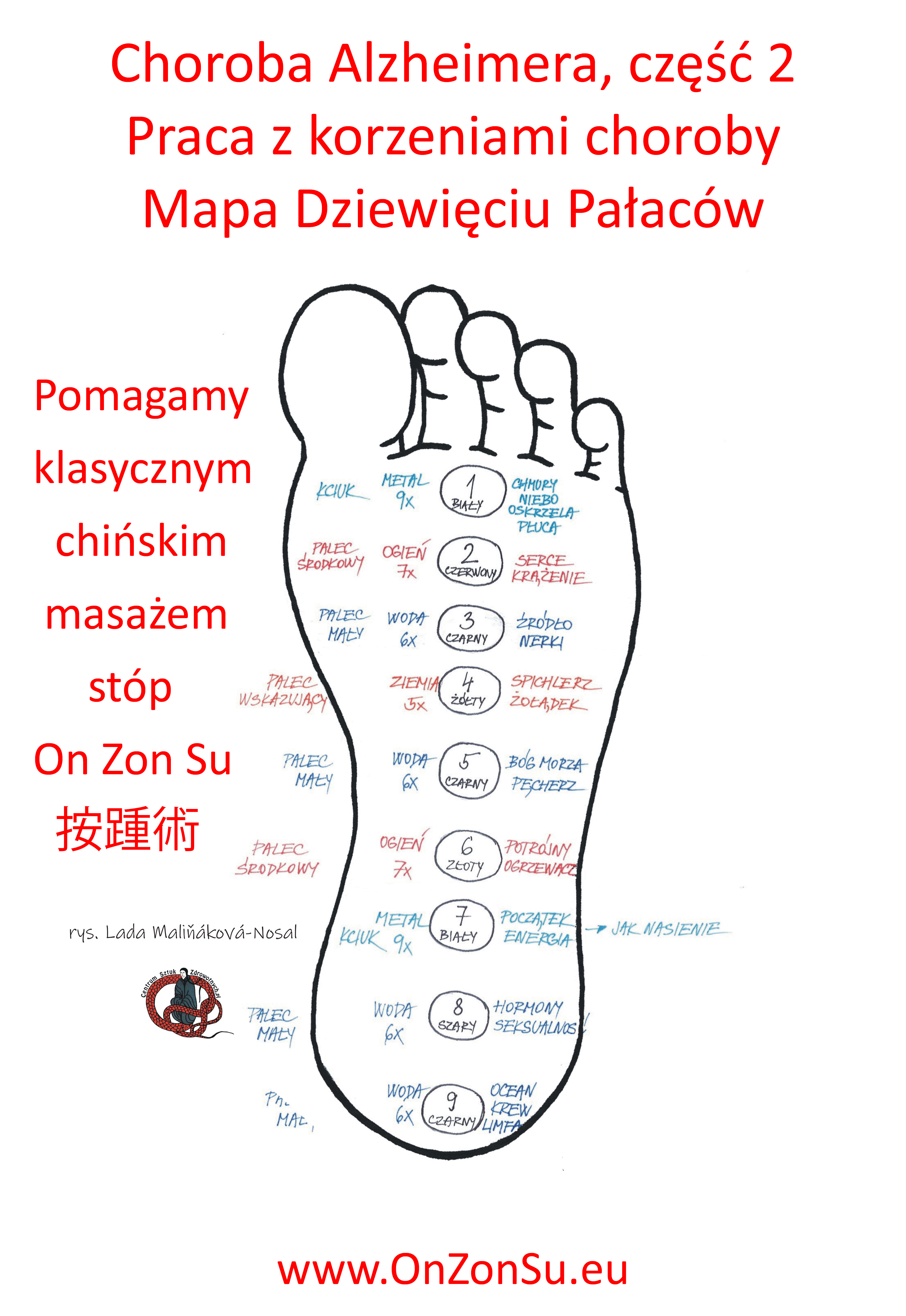 Kurs masażu stóp On Zon Su, Szkolenia refleksologii stóp - Choroba Alzheimera, część 2. Praca z korzeniami choroby, Mapa Dziewięciu Pałaców MEM.jpg