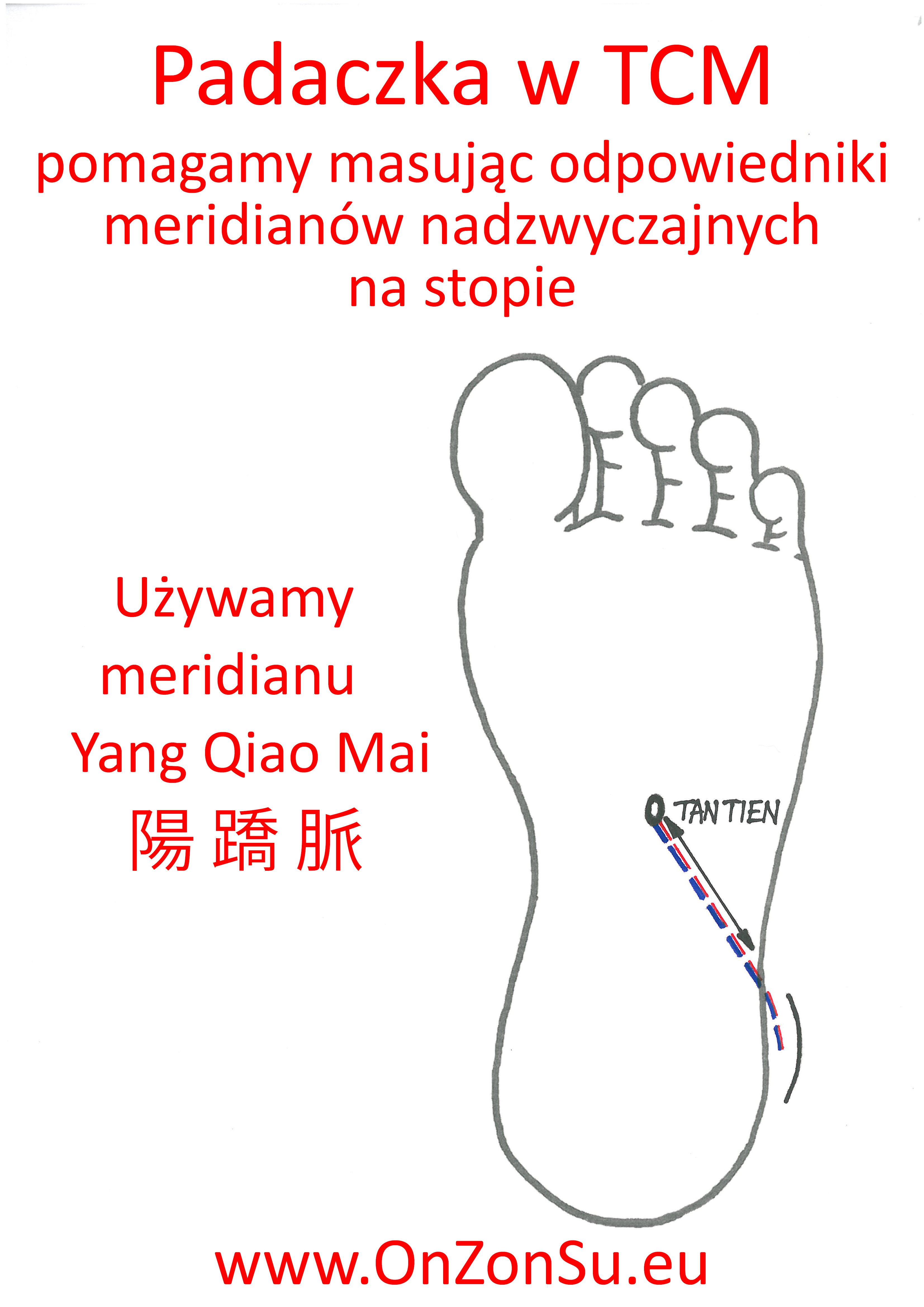 Kurs masażu stóp On Zon Su, Szkolenia refleksologii stóp - Padaczka - harmonizujemy meridian nadzwyczajny Yang Qiao Mai 陽 蹻 脈 MEM.jpg